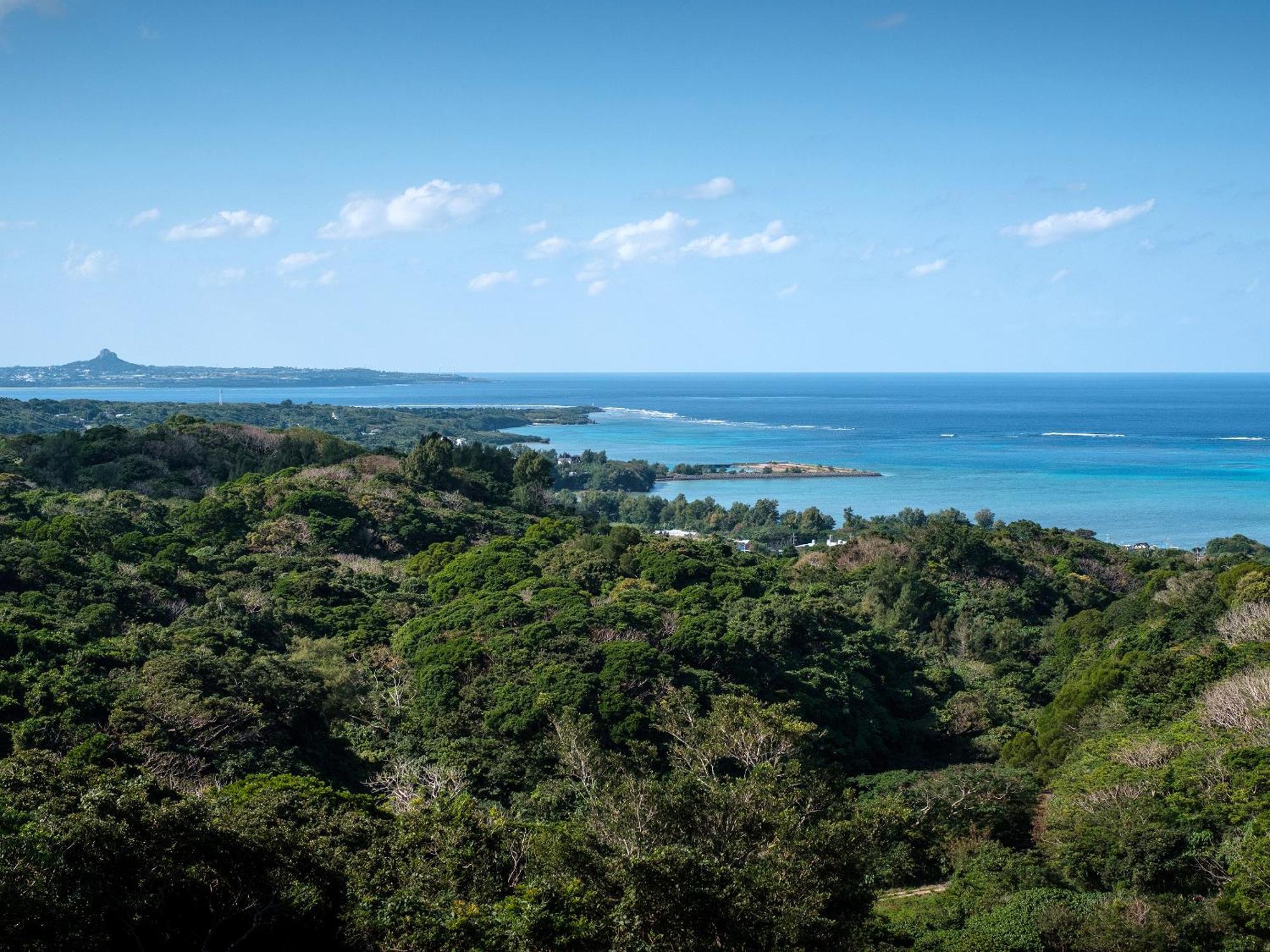 Iluvio Resort 本部町 エクステリア 写真